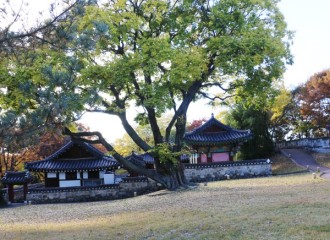 IMG_4789.jpg